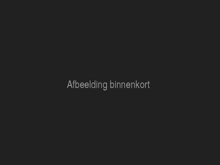 Smikkelplaatcake ( seizoen)